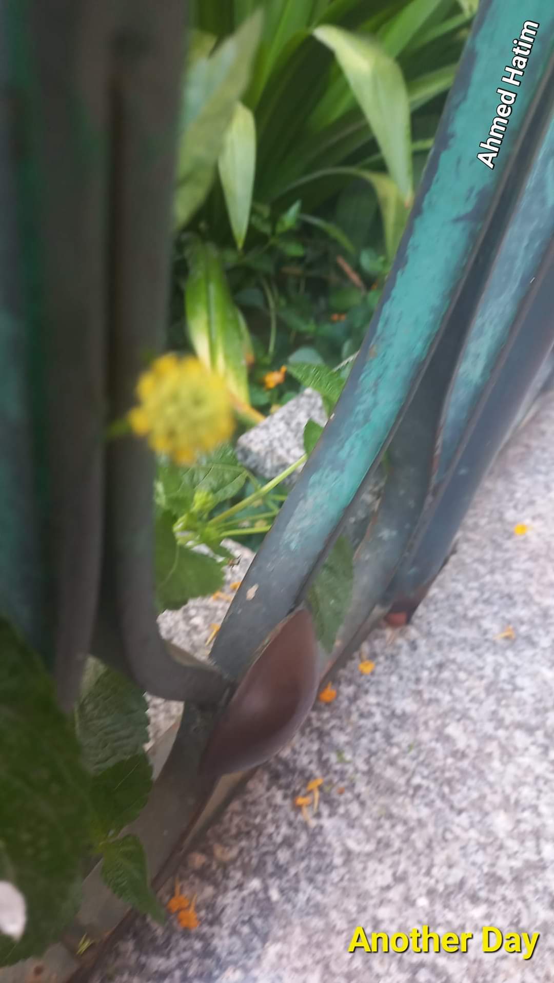 طوفان الأقصى