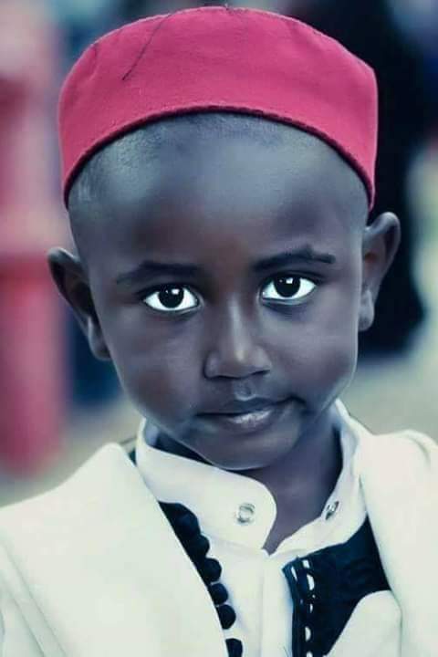 العنصرية