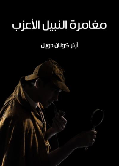 مغامرة النبيل الأعزب Story