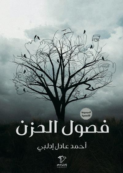 فصول الحزن Story