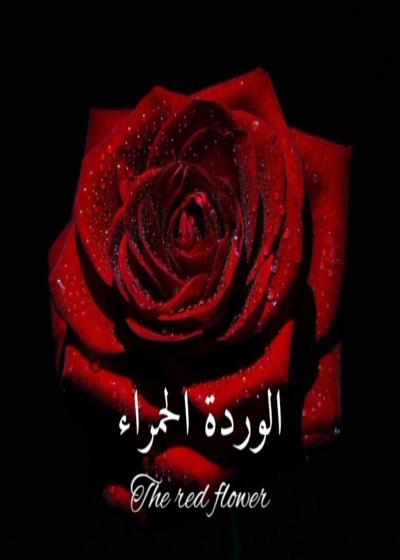 الوردة الحمراء  Story