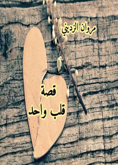 قصة قلب واحد Story