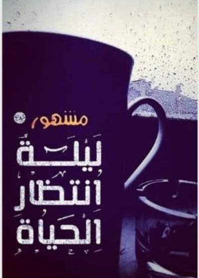 ليلة انتظار الحياة Story