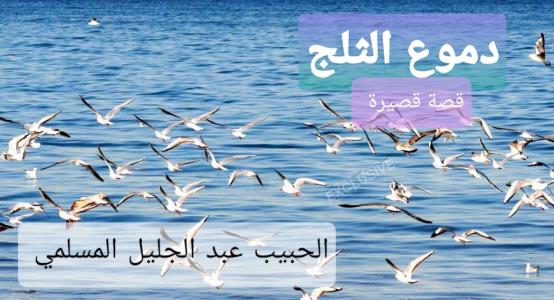 دموع الثلج Story
