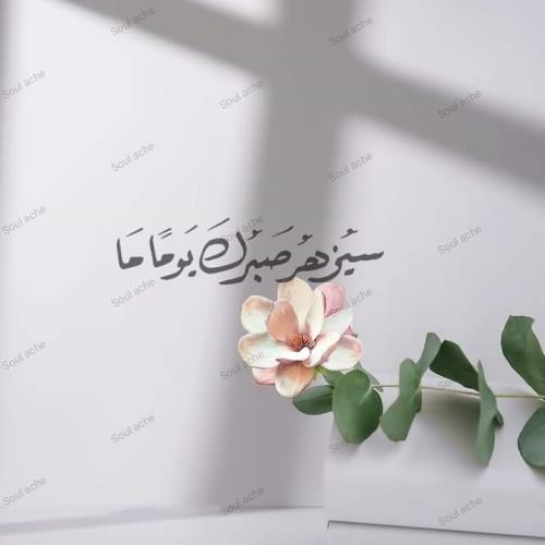 aya mahmoud
