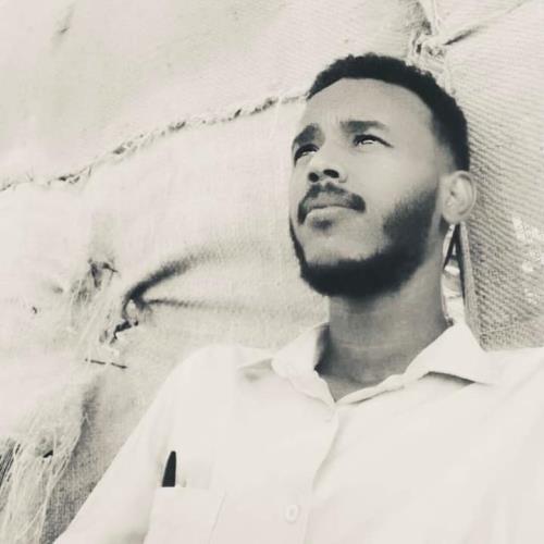 محمود الأمين احمد