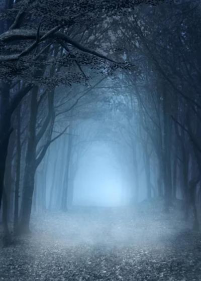 كتاب " بوابة الظل "