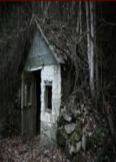 لم أخرج من الكوخ يومها Story