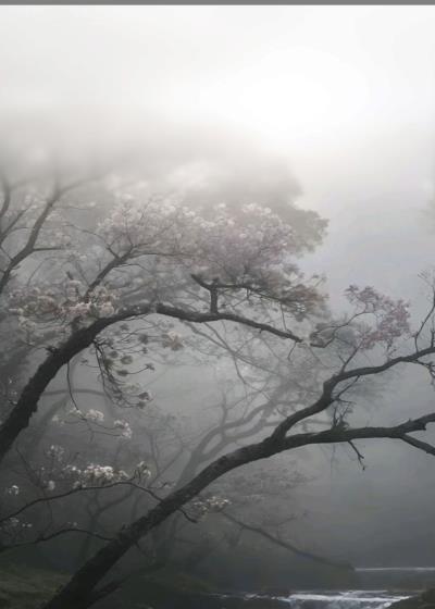 بريقٌ لا ينطفئ Story