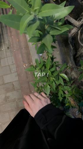 حبيبة الرحمن